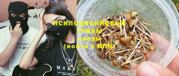 jwh Карпинск