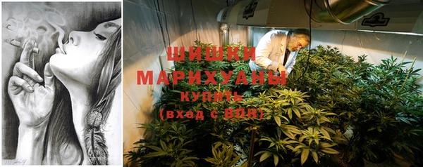 jwh Карпинск