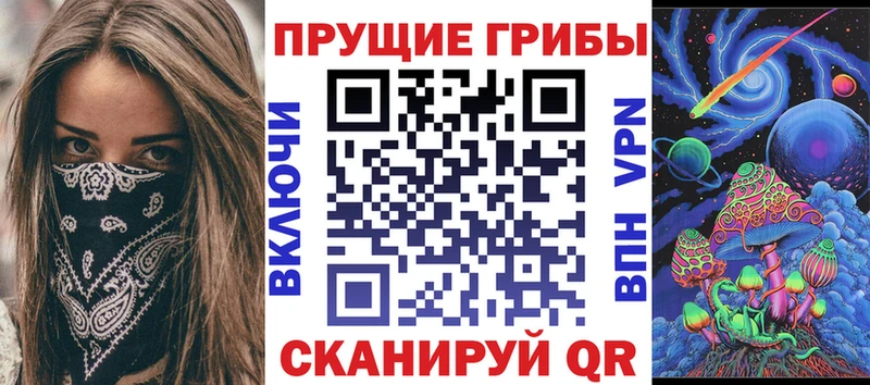 Псилоцибиновые грибы Psilocybine cubensis  Купить закладки  Пущино 